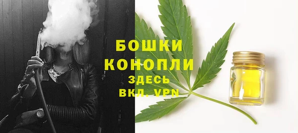 ПСИЛОЦИБИНОВЫЕ ГРИБЫ Балабаново