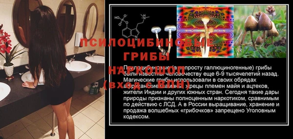 ПСИЛОЦИБИНОВЫЕ ГРИБЫ Балабаново