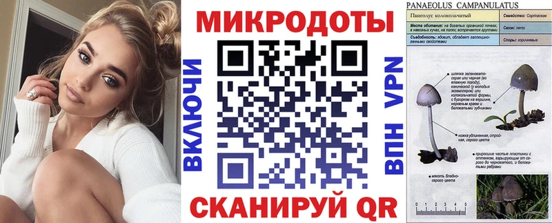 дарнет шоп  Соль-Илецк  Галлюциногенные грибы Psilocybe 