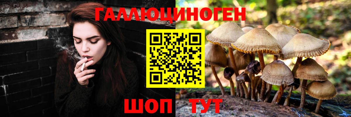 Соль-Илецк  Псилоцибиновые грибы Magic Shrooms  Вход с VPN 