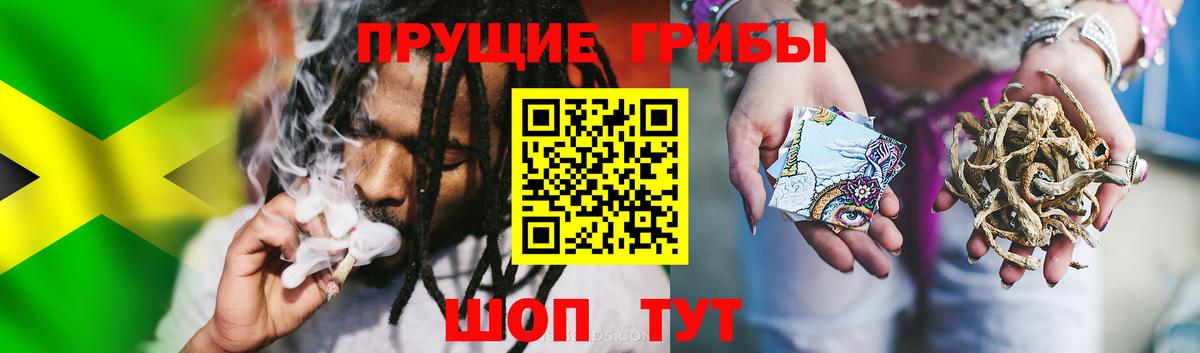Галлюциногенные грибы Psilocybine cubensis Соль-Илецк